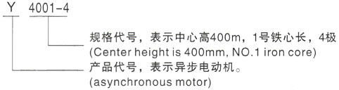 西安泰富西玛Y系列(H355-1000)高压Y4506-6/500KW三相异步电机型号说明